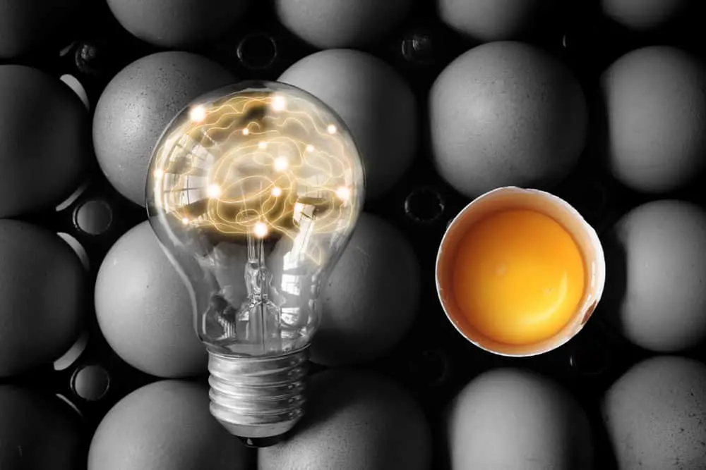 Do Eggs Fight Memory Loss?
