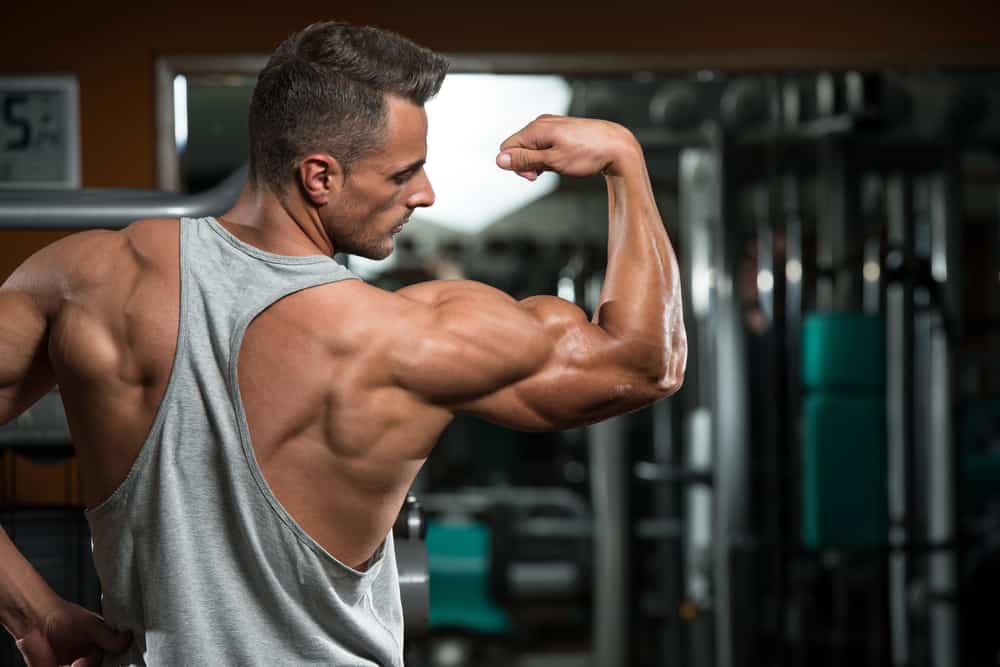Is Protein Supplements Necessary To Build Muscle?